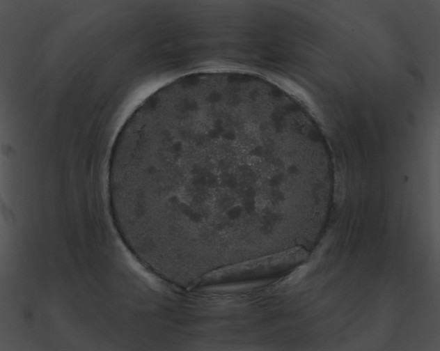 X0000090991231200708021515