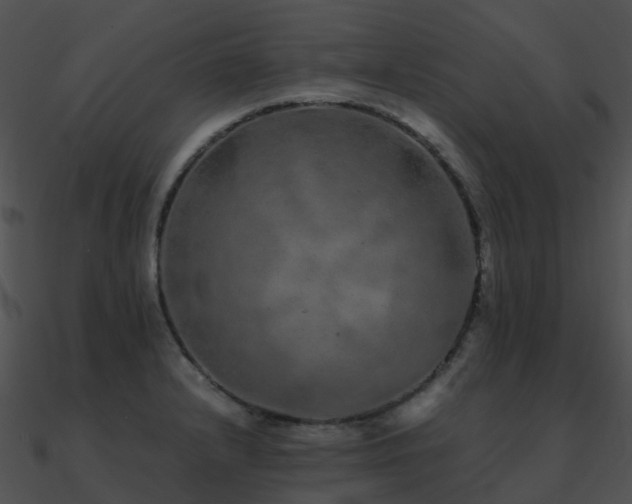X0000090991232200708021515