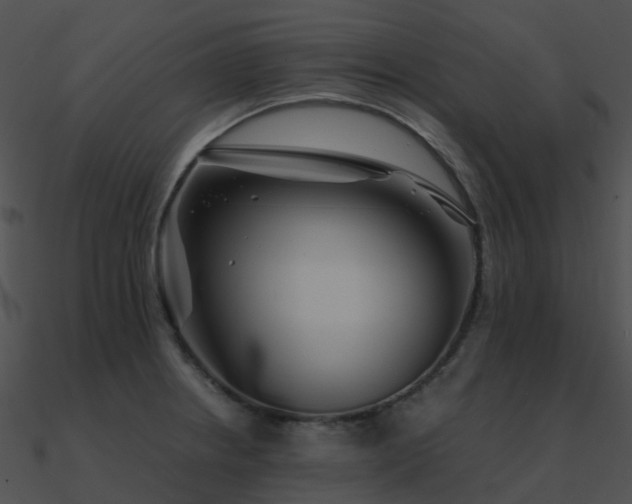 X0000090991234200708021515