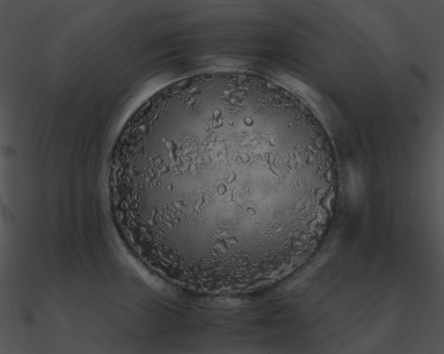 X0000090991235200708021515