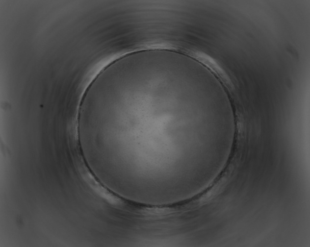 X0000090991236200708021515