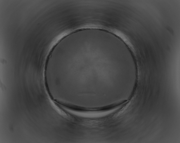 X0000090991237200708021515