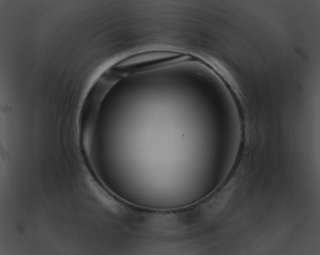 X0000090991238200708021515