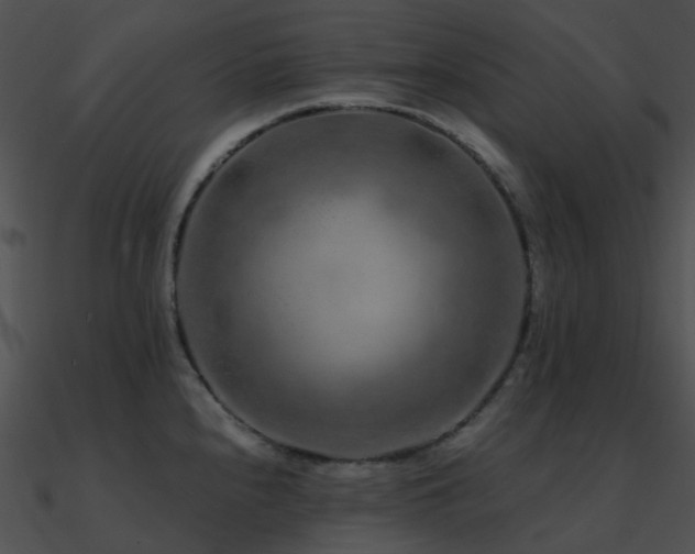 X0000090991240200708021515