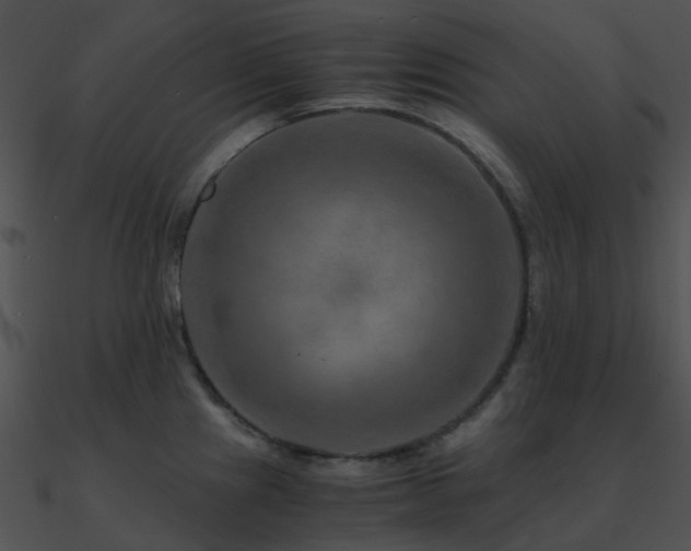 X0000090991241200708021515