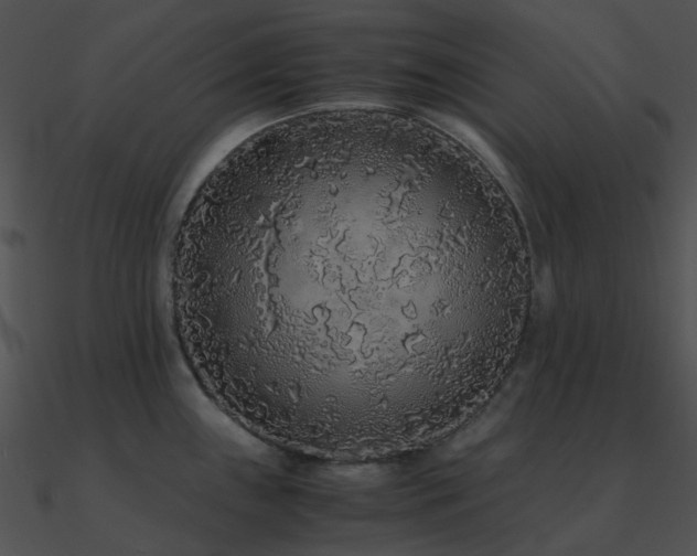 X0000090991243200708021515
