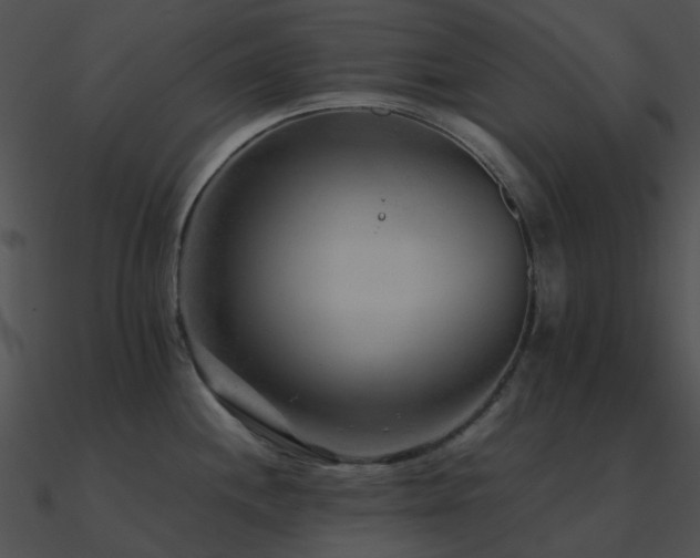 X0000090991244200708021515