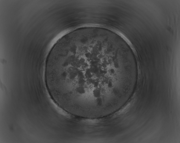 X0000090991245200708021515