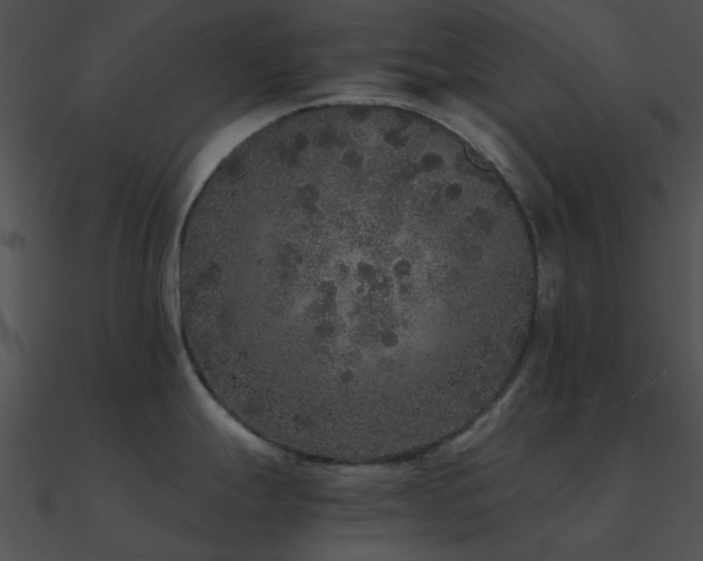 X0000090991247200708021515