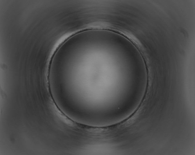 X0000090991248200708021515