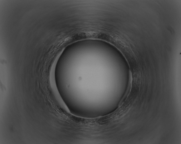X0000090991249200708021514