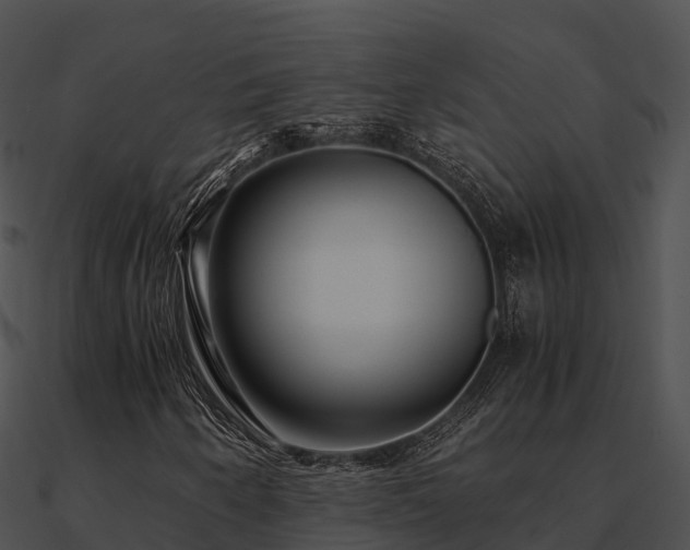 X0000090991250200708021514