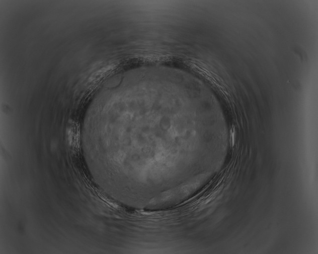 X0000090991251200708021514