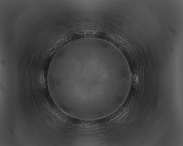 X0000090991252200708021514