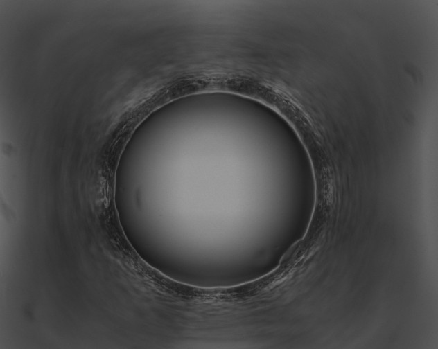 X0000090991253200708021514