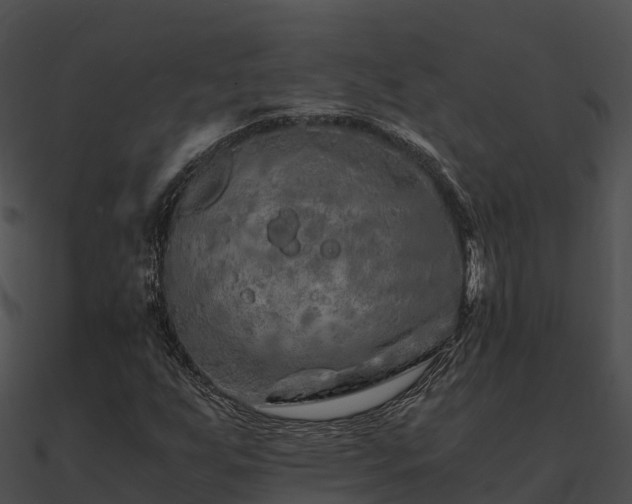 X0000090991255200708021514