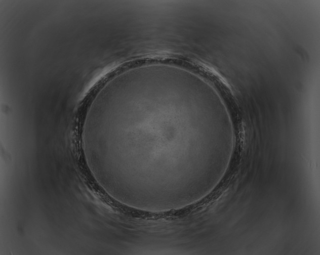 X0000090991256200708021514