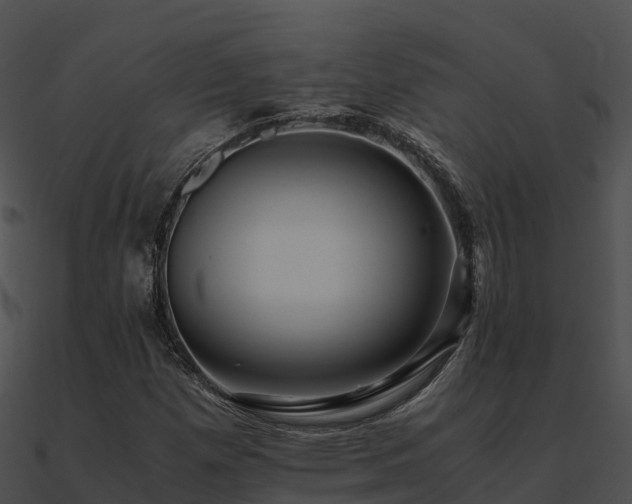 X0000090991257200708021514