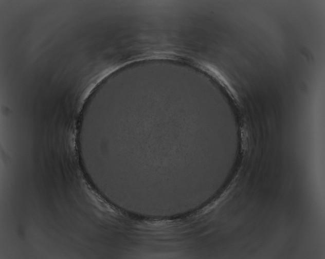 X0000090991260200708021514
