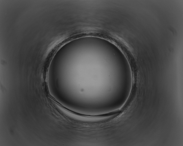 X0000090991261200708021514