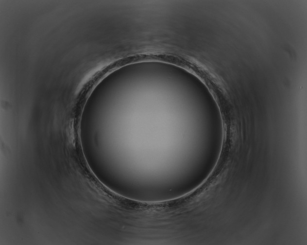 X0000090991262200708021514