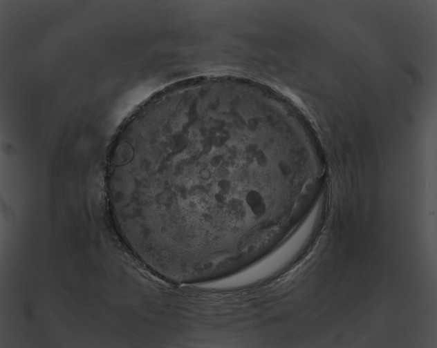 X0000090991263200708021514