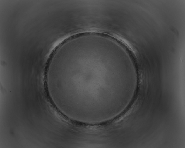 X0000090991264200708021514
