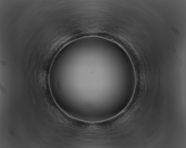 X0000090991265200708021514