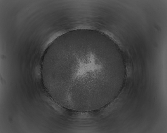X0000090991266200708021514