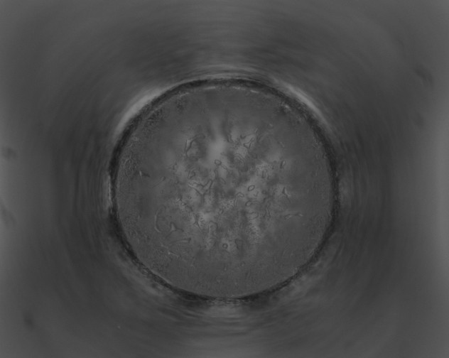 X0000090991267200708021514