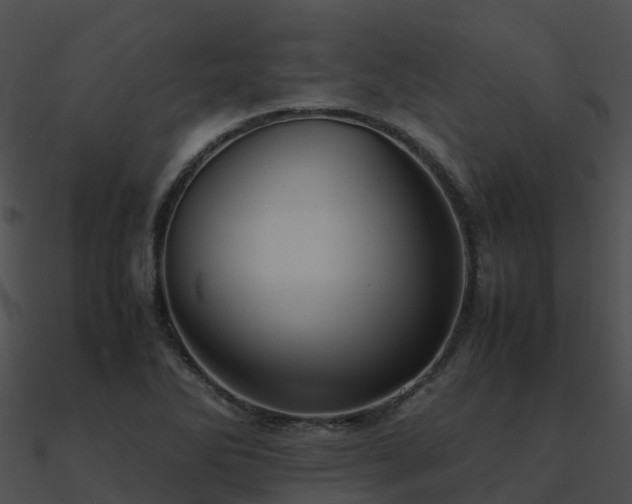 X0000090991270200708021514