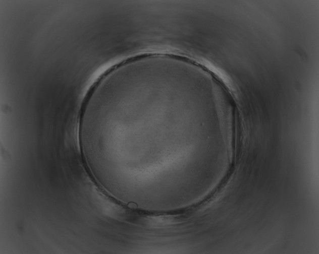 X0000090991272200708021514
