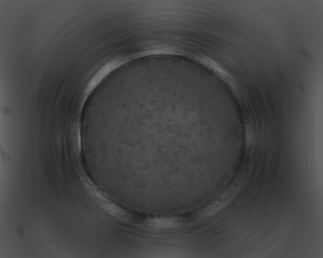 X0000090991274200708021514
