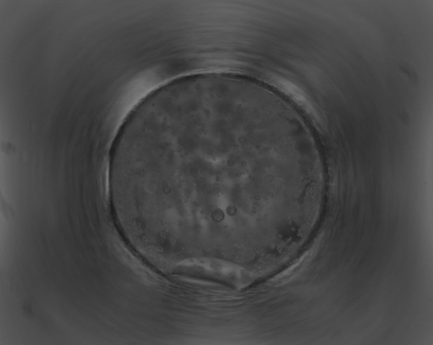 X0000090991275200708021514