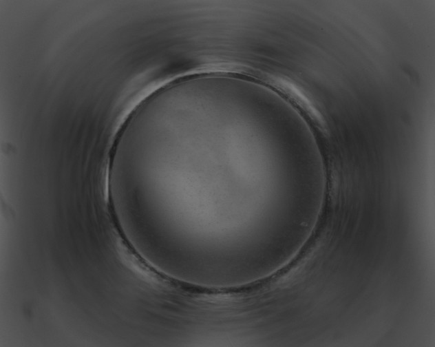 X0000090991276200708021514