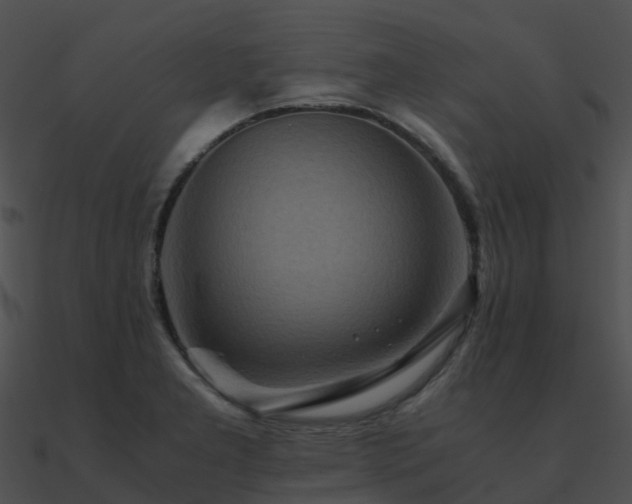 X0000090991277200708021514
