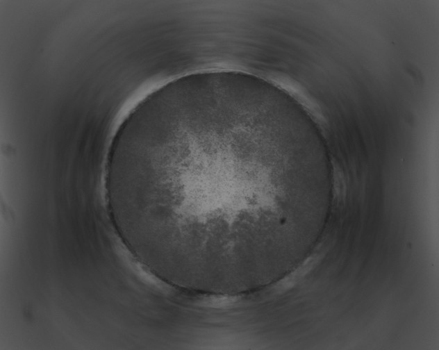 X0000090991278200708021514