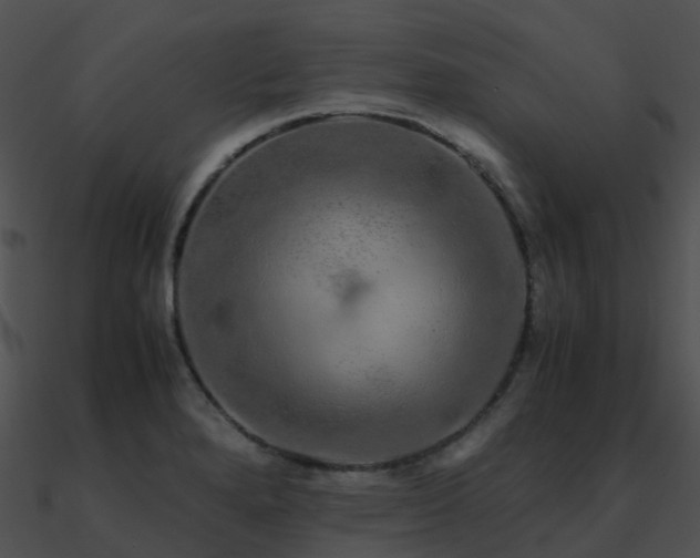 X0000090991280200708021514