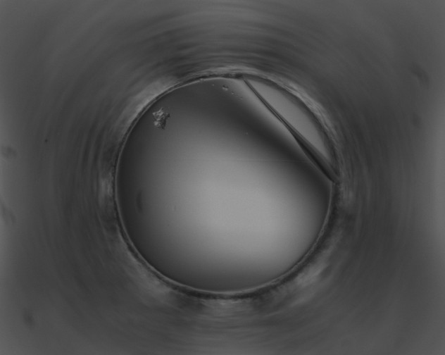 X0000090991281200708021514