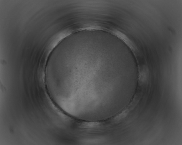 X0000090991282200708021514