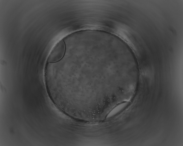 X0000090991283200708021514
