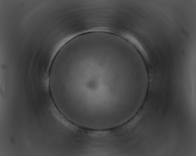 X0000090991284200708021514