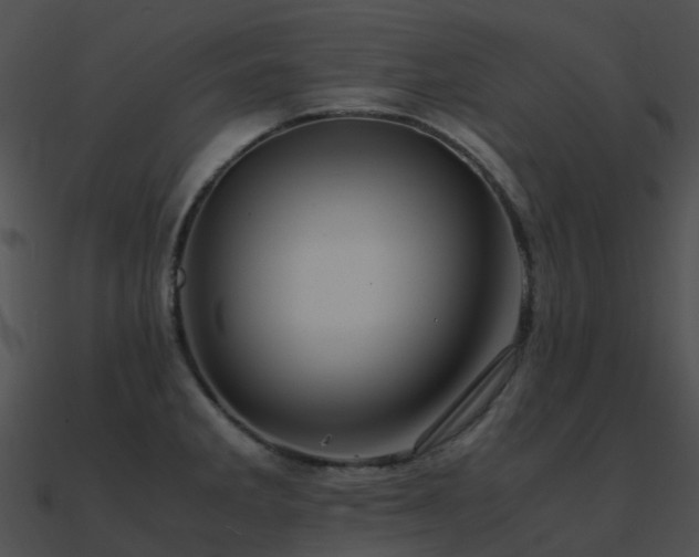 X0000090991285200708021514