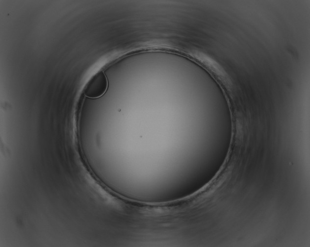 X0000090991286200708021514
