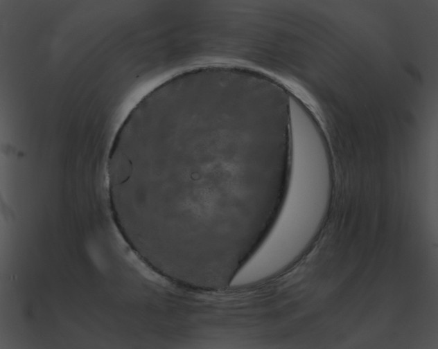 X0000090991287200708021514