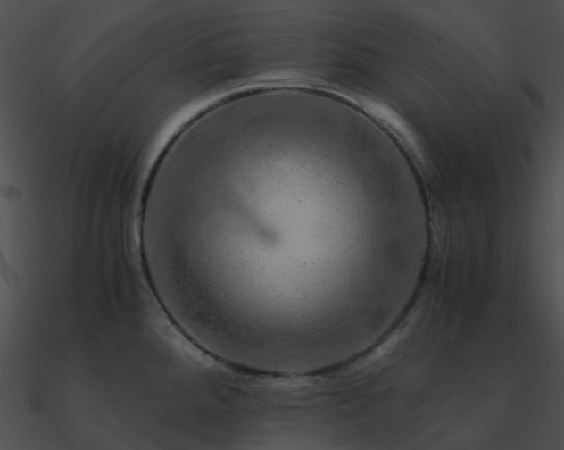 X0000090991288200708021514