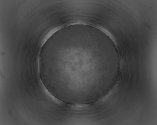 X0000090991290200708021514