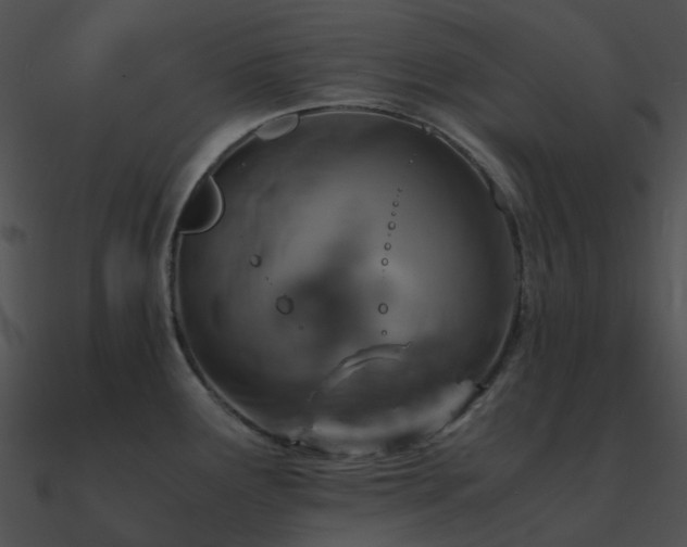 X0000090991291200708021514