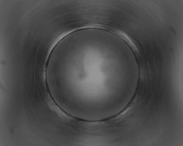 X0000090991292200708021514