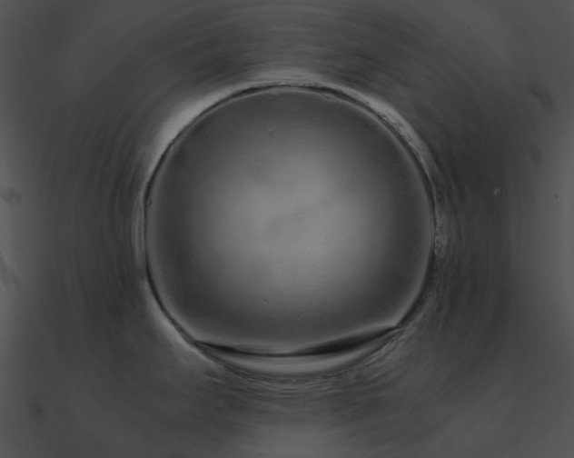 X0000090991295200708021514